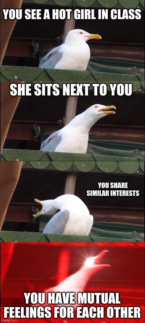 Inhaling Seagull | YOU SEE A HOT GIRL IN CLASS; SHE SITS NEXT TO YOU; YOU SHARE SIMILAR INTERESTS; YOU HAVE MUTUAL FEELINGS FOR EACH OTHER | image tagged in memes,inhaling seagull | made w/ Imgflip meme maker