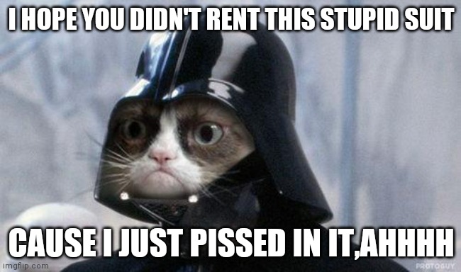Grumpy Cat Star Wars |  I HOPE YOU DIDN'T RENT THIS STUPID SUIT; CAUSE I JUST PISSED IN IT,AHHHH | image tagged in memes,grumpy cat star wars,grumpy cat | made w/ Imgflip meme maker