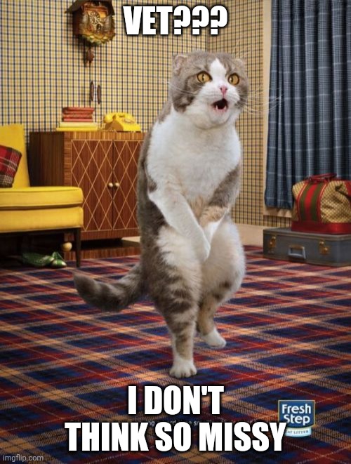 Gotta Go Cat |  VET??? I DON'T THINK SO MISSY | image tagged in memes,gotta go cat | made w/ Imgflip meme maker