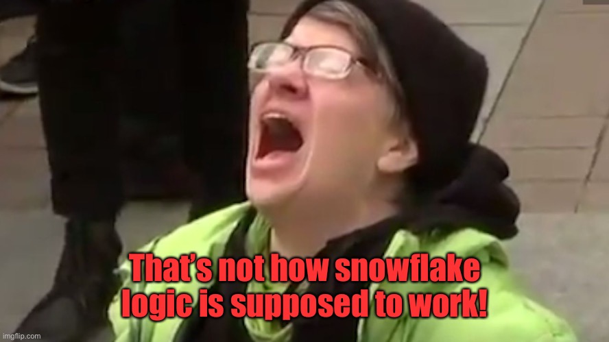 Screaming Liberal  | That’s not how snowflake logic is supposed to work! | image tagged in screaming liberal | made w/ Imgflip meme maker