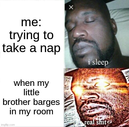 when i try to sleep | me: trying to take a nap; when my little brother barges in my room | image tagged in memes,sleeping shaq | made w/ Imgflip meme maker