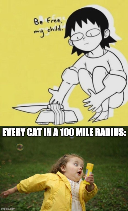 not the cat NO |  EVERY CAT IN A 100 MILE RADIUS: | image tagged in girl running,cats,911,oh no cat,oh god i have done it again | made w/ Imgflip meme maker