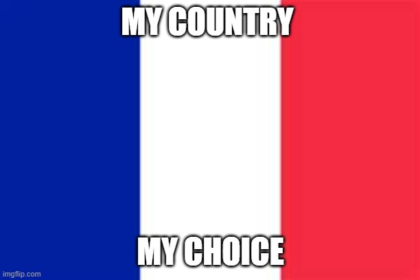 france flag | MY COUNTRY MY CHOICE | image tagged in france flag | made w/ Imgflip meme maker
