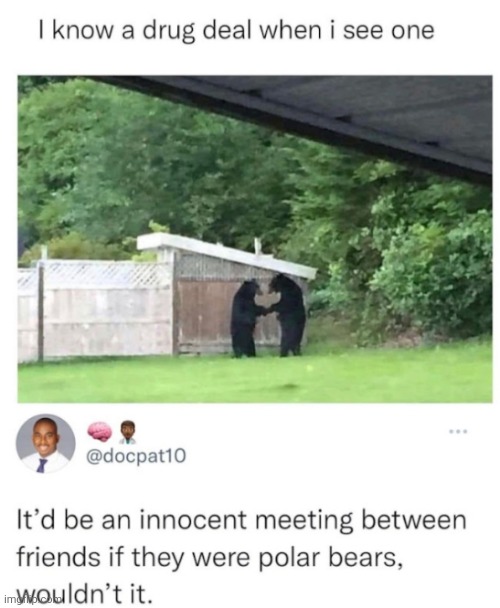 image tagged in funny memes | made w/ Imgflip meme maker