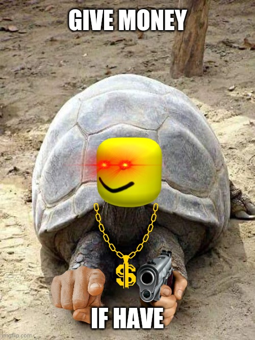 Happy turtle | GIVE MONEY; IF HAVE | image tagged in happy turtle | made w/ Imgflip meme maker