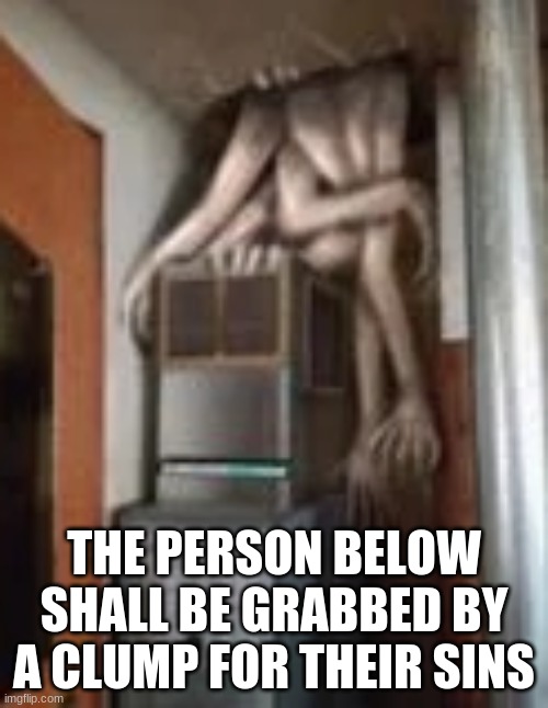 Clump | THE PERSON BELOW SHALL BE GRABBED BY A CLUMP FOR THEIR SINS | image tagged in clump | made w/ Imgflip meme maker