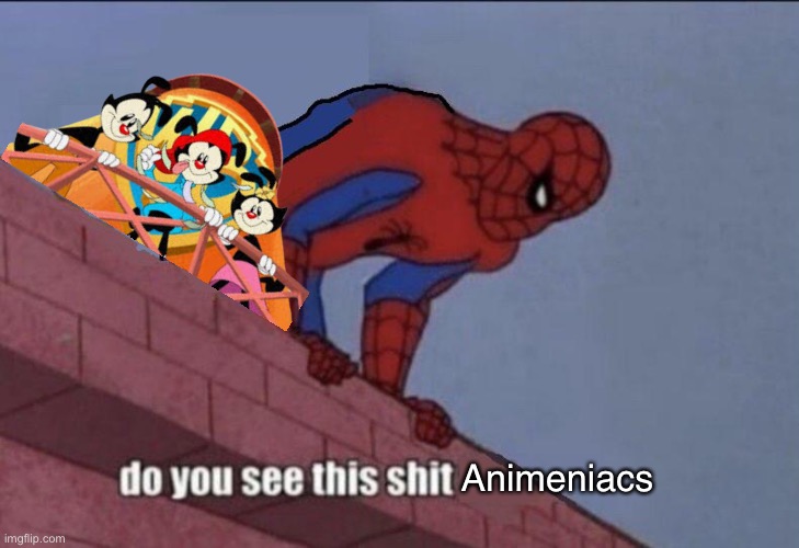 Spider-Man Do You See this | Animeniacs | image tagged in spider-man do you see this | made w/ Imgflip meme maker