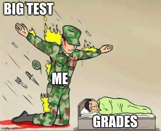 i like my grades | BIG TEST; ME; GRADES | image tagged in soldier protecting sleeping child | made w/ Imgflip meme maker