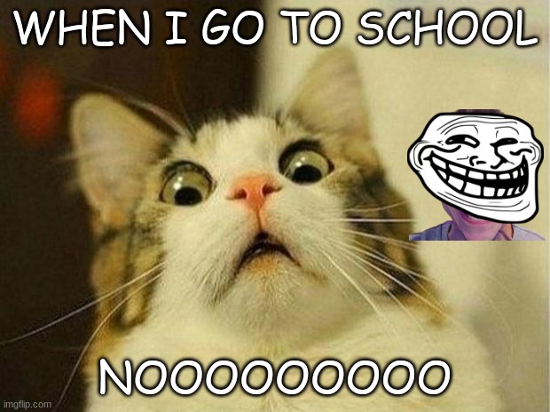funny cats | WHEN I GO TO SCHOOL; NOOOOOOOOO | image tagged in memes | made w/ Imgflip meme maker