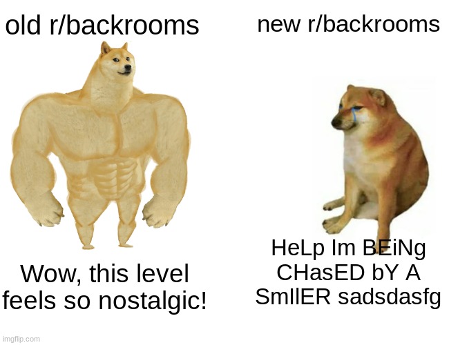 true | old r/backrooms; new r/backrooms; HeLp Im BEiNg CHasED bY A SmIlER sadsdasfg; Wow, this level feels so nostalgic! | image tagged in memes,buff doge vs cheems,the backrooms,lol,funny haha | made w/ Imgflip meme maker