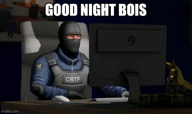 counter-terrorist looking at the computer | GOOD NIGHT BOIS | image tagged in computer | made w/ Imgflip meme maker