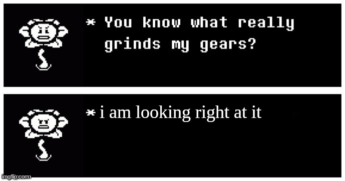 You know what really grinds my gears? (Flowey edition) | i am looking right at it | image tagged in you know what really grinds my gears flowey edition | made w/ Imgflip meme maker