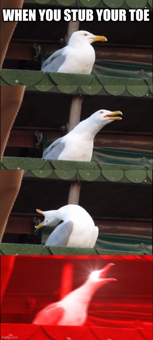 screaming | WHEN YOU STUB YOUR TOE | image tagged in memes,inhaling seagull | made w/ Imgflip meme maker