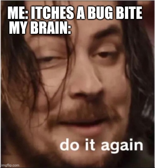 This happens all the time lol | MY BRAIN:; ME: ITCHES A BUG BITE | image tagged in do it again | made w/ Imgflip meme maker