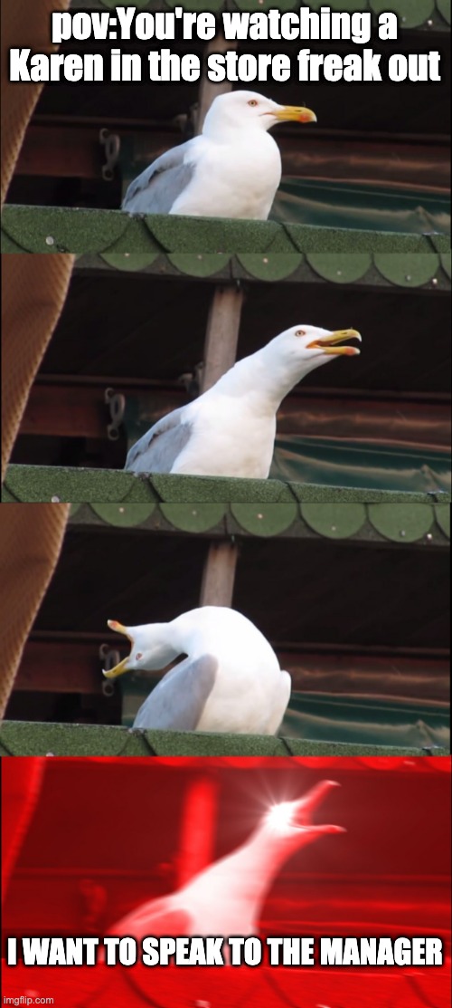 Inhaling Seagull | pov:You're watching a Karen in the store freak out; I WANT TO SPEAK TO THE MANAGER | image tagged in memes,inhaling seagull | made w/ Imgflip meme maker