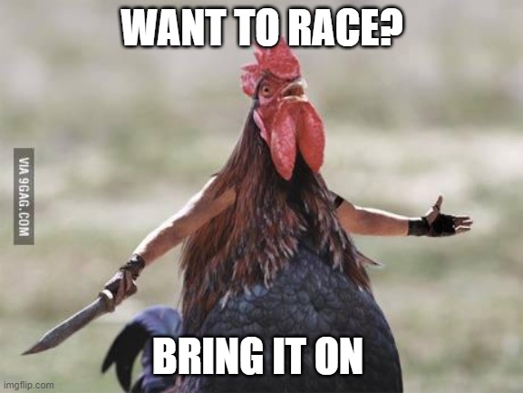 Chicken Derby | WANT TO RACE? BRING IT ON | image tagged in come at me chicken | made w/ Imgflip meme maker