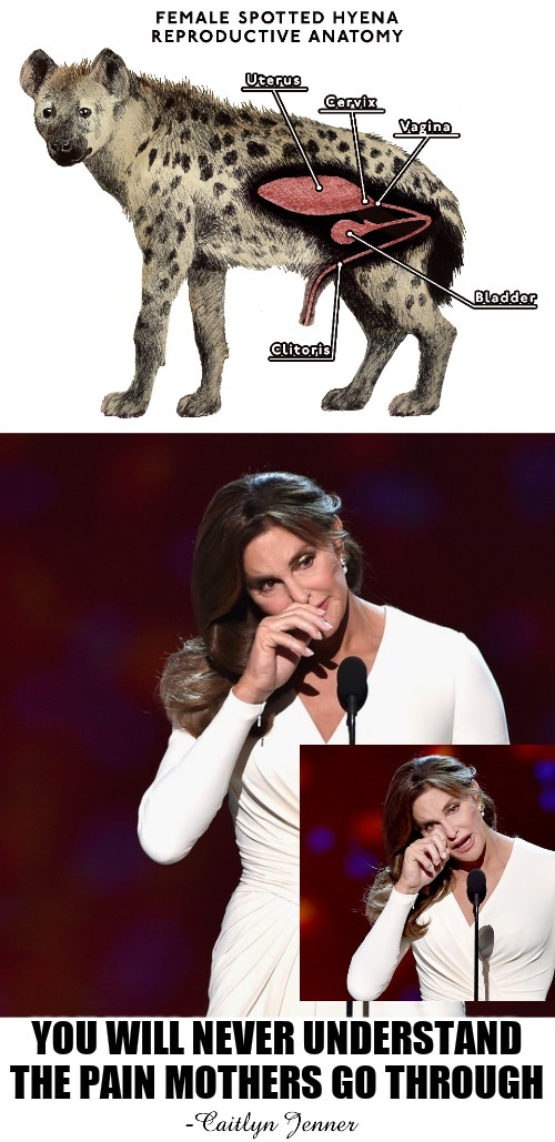image tagged in mothers,lmfao,caitlyn jenner | made w/ Imgflip meme maker