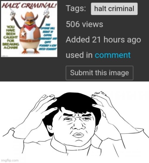 Da heck, I have not submitted it | image tagged in wtf | made w/ Imgflip meme maker