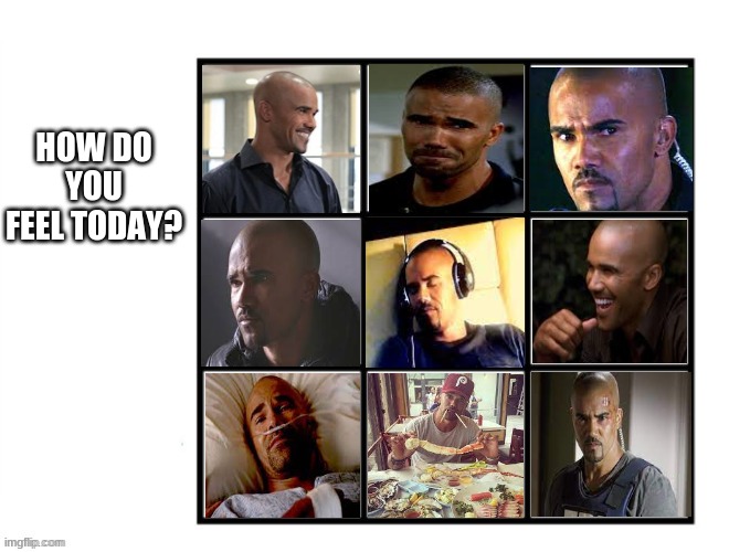 blank grid | HOW DO YOU FEEL TODAY? | image tagged in blank grid | made w/ Imgflip meme maker