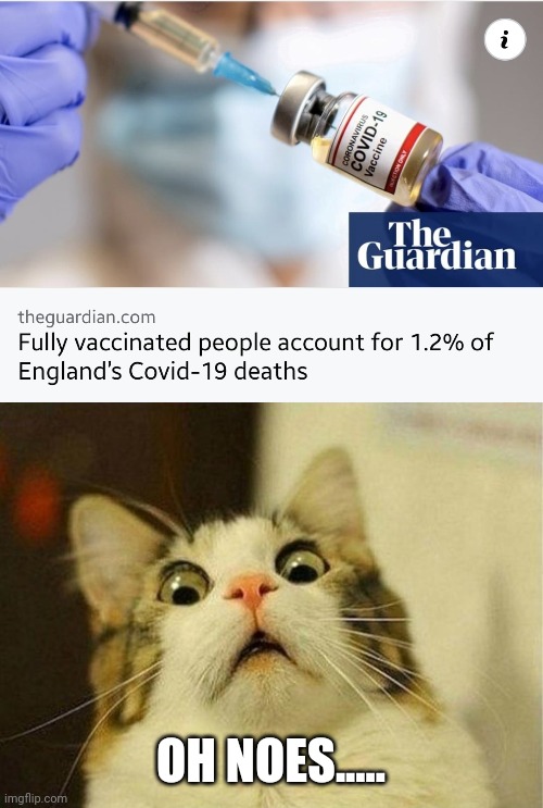 ..... | OH NOES..... | image tagged in memes,scared cat,coronavirus,covid-19,vaccines,england | made w/ Imgflip meme maker