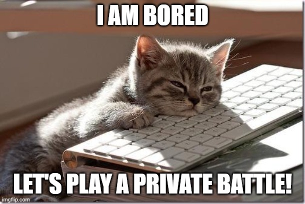 SW-2007-3359-6415 | I AM BORED; LET'S PLAY A PRIVATE BATTLE! | image tagged in bored keyboard cat | made w/ Imgflip meme maker