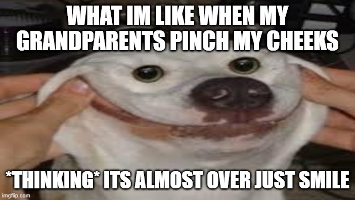 dog grandparents *sigh* its almost over |  WHAT IM LIKE WHEN MY GRANDPARENTS PINCH MY CHEEKS; *THINKING* ITS ALMOST OVER JUST SMILE | image tagged in dog memes,doge 2,grandchildren | made w/ Imgflip meme maker