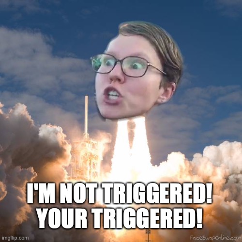 TRIGGERED FLOUNCE BLAST OFF | I'M NOT TRIGGERED! YOUR TRIGGERED! | image tagged in triggered flounce blast off | made w/ Imgflip meme maker