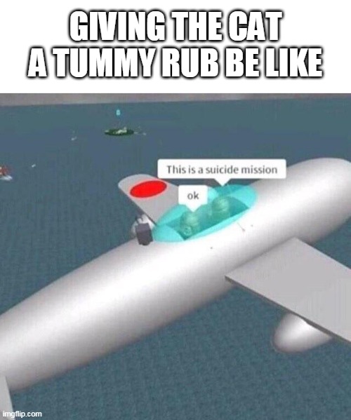  GIVING THE CAT A TUMMY RUB BE LIKE | image tagged in this is a suicide mission ok,belly,cats,kamikaze,plane,relateable | made w/ Imgflip meme maker