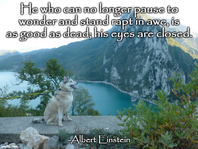 Wonder | He who can no longer pause to wonder and stand rapt in awe, is as good as dead; his eyes are closed. -Albert Einstein | image tagged in all the wonders | made w/ Imgflip meme maker