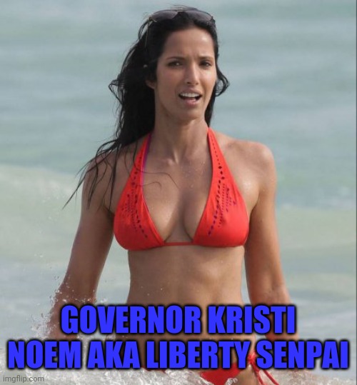 Liberty Senpai | GOVERNOR KRISTI NOEM AKA LIBERTY SENPAI | image tagged in south dakota,liberty,senpai,senpai notice me | made w/ Imgflip meme maker
