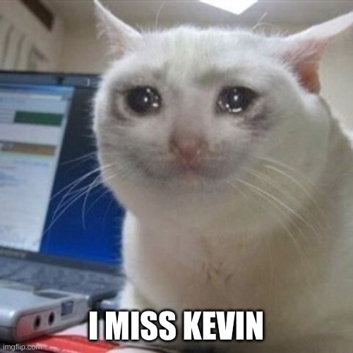 Crying cat | I MISS KEVIN | image tagged in crying cat | made w/ Imgflip meme maker