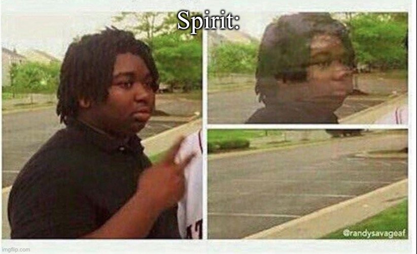 Black guy disappearing | Spirit: | image tagged in black guy disappearing | made w/ Imgflip meme maker