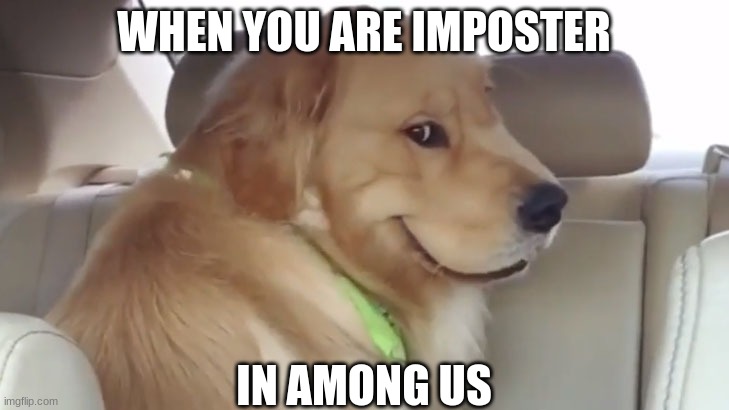 me in among us | WHEN YOU ARE AN IMPOSTER; IN AMONG US | image tagged in among us,funny dog memes | made w/ Imgflip meme maker