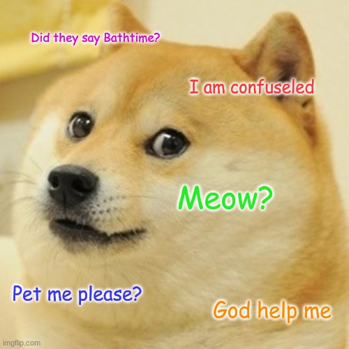 Doge | Did they say Bathtime? I am confuseled; Meow? Pet me please? God help me | image tagged in memes,doge | made w/ Imgflip meme maker