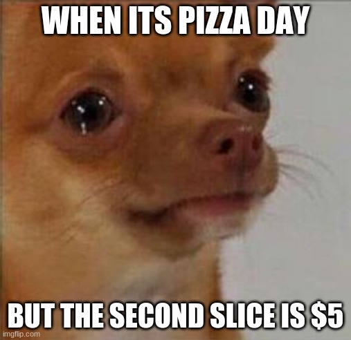 Life is unfair | WHEN ITS PIZZA DAY; BUT THE SECOND SLICE IS $5 | image tagged in funny dog memes,school,lunch | made w/ Imgflip meme maker