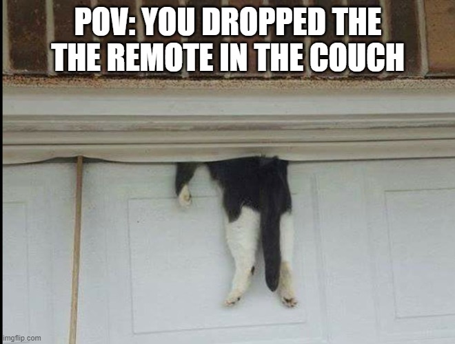 [insert pain in comments] | POV: YOU DROPPED THE THE REMOTE IN THE COUCH | image tagged in bella the cat stuck in a garage door,funny,memes | made w/ Imgflip meme maker