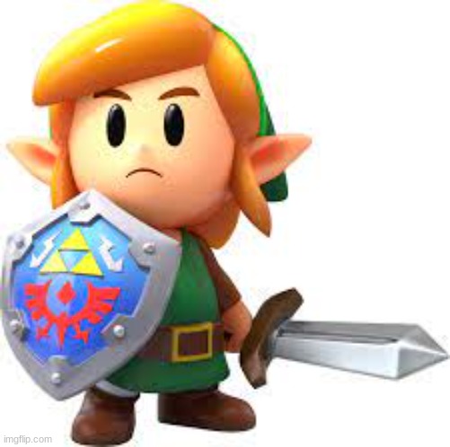 Link | image tagged in legend of zelda | made w/ Imgflip meme maker