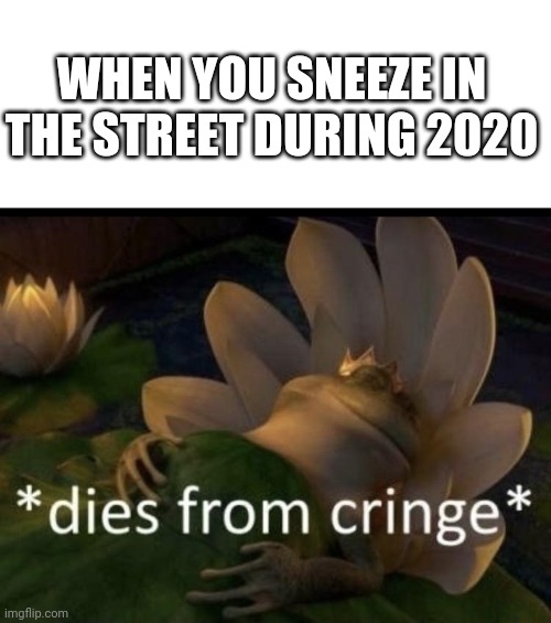 Am I the only one ? | WHEN YOU SNEEZE IN THE STREET DURING 2020 | image tagged in dies from cringe | made w/ Imgflip meme maker