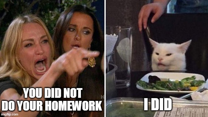 plot twist: he did not do his homework | YOU DID NOT DO YOUR HOMEWORK; I DID | image tagged in angry lady cat | made w/ Imgflip meme maker