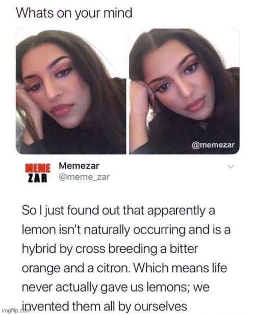 woah | image tagged in funny,when life gives you lemons | made w/ Imgflip meme maker