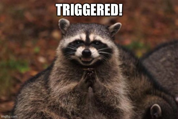 Evil racoon | TRIGGERED! | image tagged in evil racoon | made w/ Imgflip meme maker