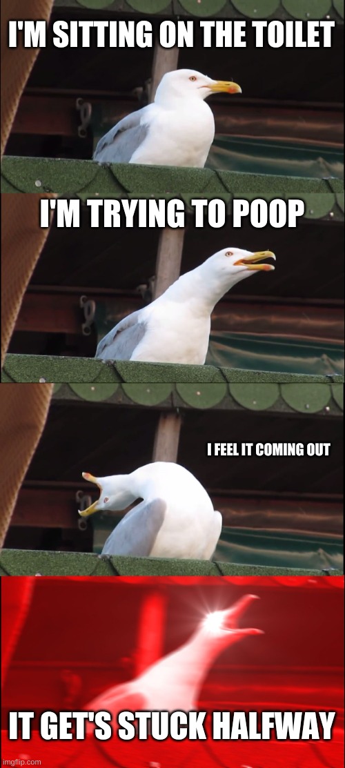 Inhaling Seagull | I'M SITTING ON THE TOILET; I'M TRYING TO POOP; I FEEL IT COMING OUT; IT GET'S STUCK HALFWAY | image tagged in memes,inhaling seagull | made w/ Imgflip meme maker