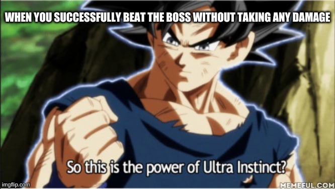 When you dodge every attack on the final boss. | WHEN YOU SUCCESSFULLY BEAT THE BOSS WITHOUT TAKING ANY DAMAGE | image tagged in ultra instinct,finals | made w/ Imgflip meme maker