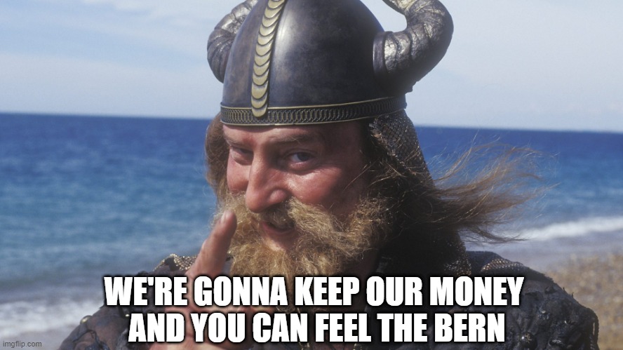 HELL YES VIKING | WE'RE GONNA KEEP OUR MONEY 
AND YOU CAN FEEL THE BERN | image tagged in hell yes viking | made w/ Imgflip meme maker