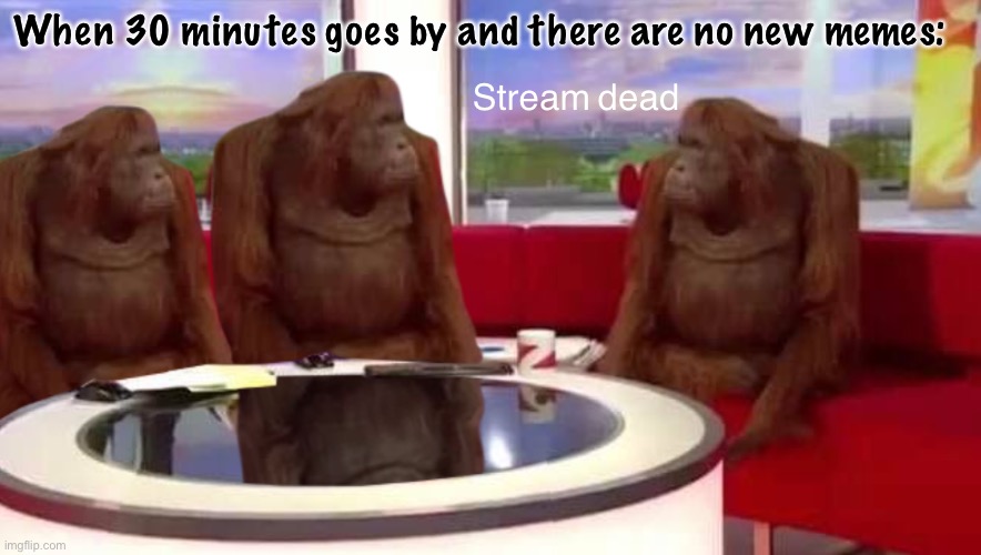 [my impression of RUP government critics] [Lol cool it this isn’t the MSMG stream] | When 30 minutes goes by and there are no new memes:; Stream dead | image tagged in where monkey,stream,dead,stream dead,stream so dead,why stream dead | made w/ Imgflip meme maker