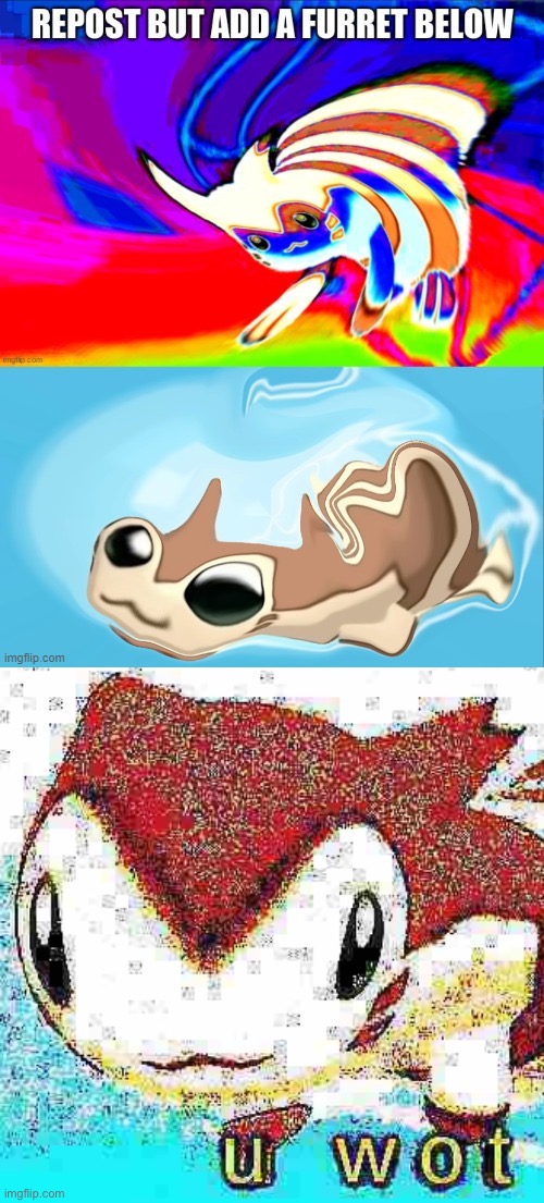 m8 | image tagged in u wot furret | made w/ Imgflip meme maker