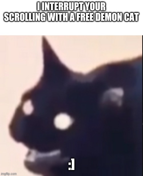 demon cat | I INTERRUPT YOUR SCROLLING WITH A FREE DEMON CAT; :] | image tagged in high-pitched demonic screeching | made w/ Imgflip meme maker
