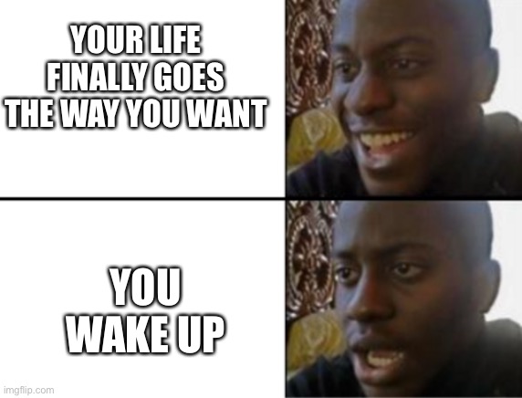 :( | YOUR LIFE FINALLY GOES THE WAY YOU WANT; YOU WAKE UP | image tagged in oh yeah oh no,memes,fun | made w/ Imgflip meme maker