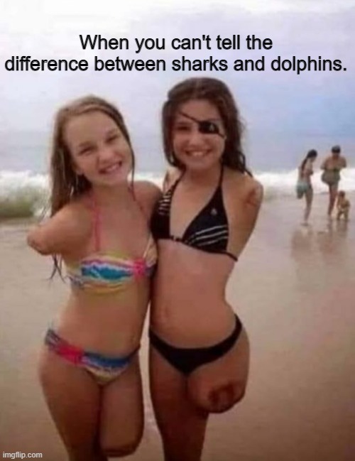 When you can't tell the difference between sharks and dolphins. | image tagged in funny | made w/ Imgflip meme maker