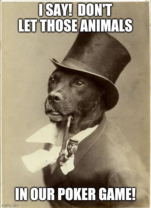 Old Money Dog | I SAY!  DON'T LET THOSE ANIMALS IN OUR POKER GAME! | image tagged in old money dog | made w/ Imgflip meme maker